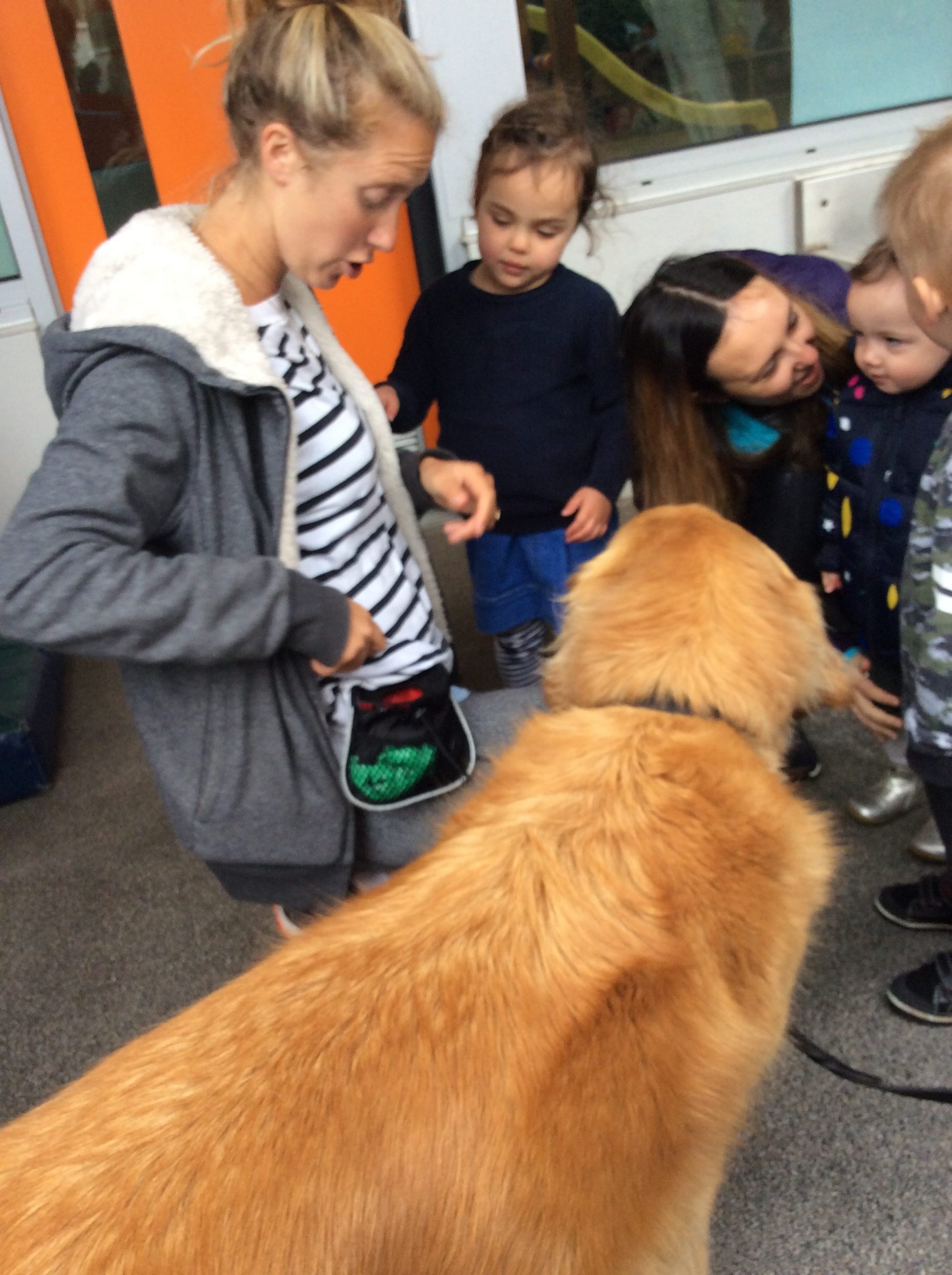 Three steps to Teach your child how to safely say hello to dogs