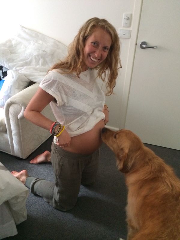 How to tell your dog you’re pregnant…