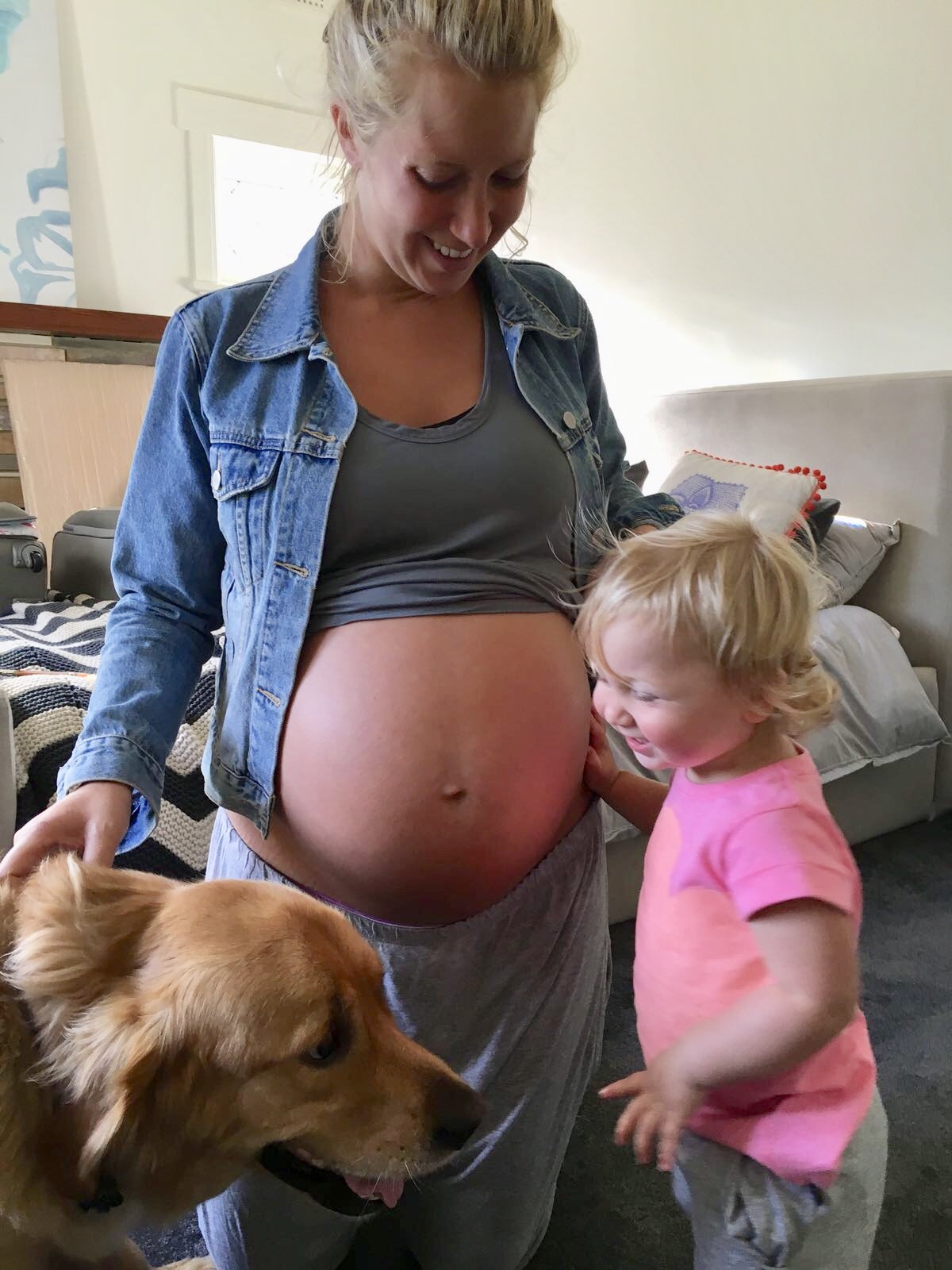 Does my dog know I'm pregnant?