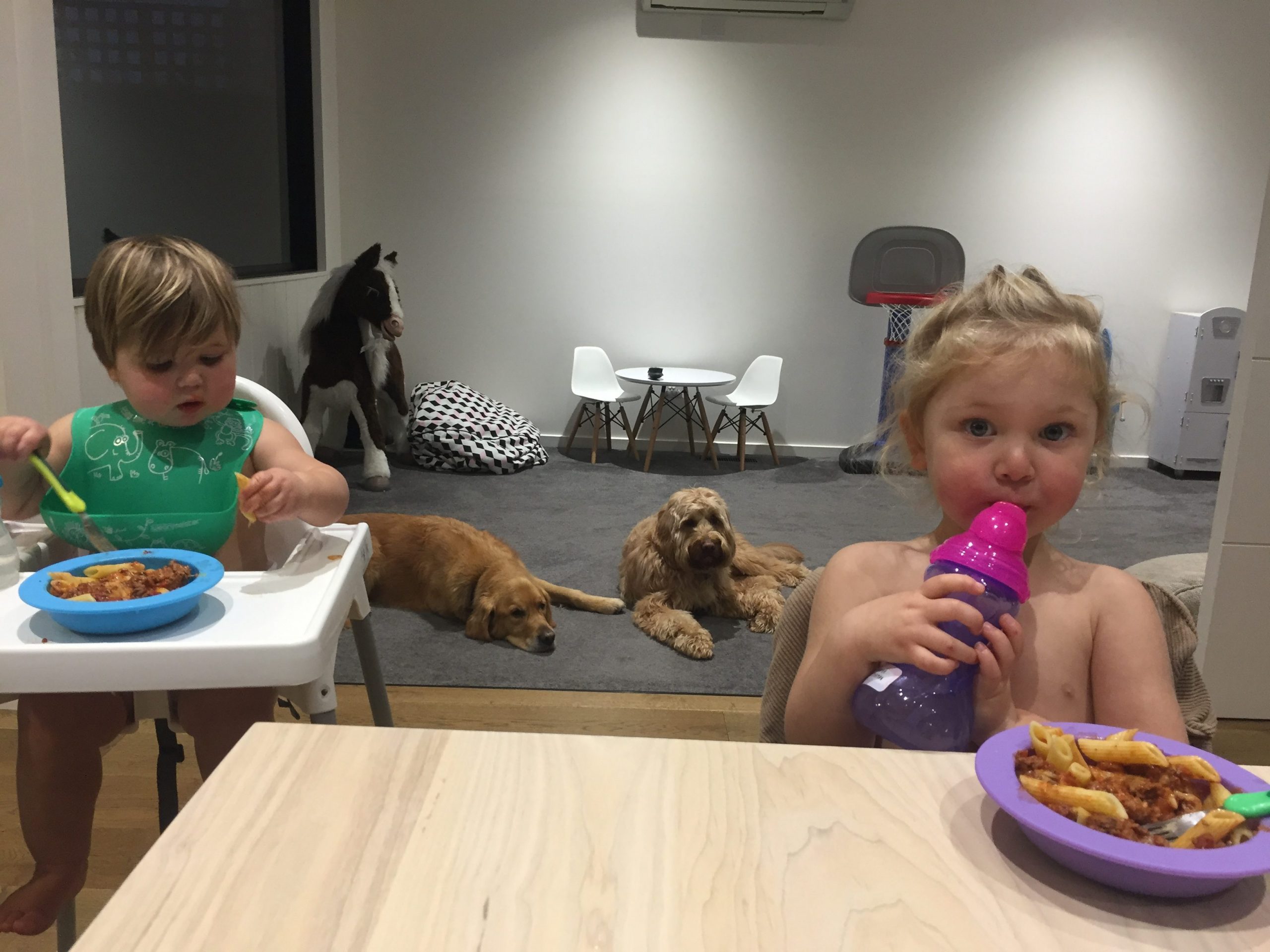 Managing feeding time with your kids and dog