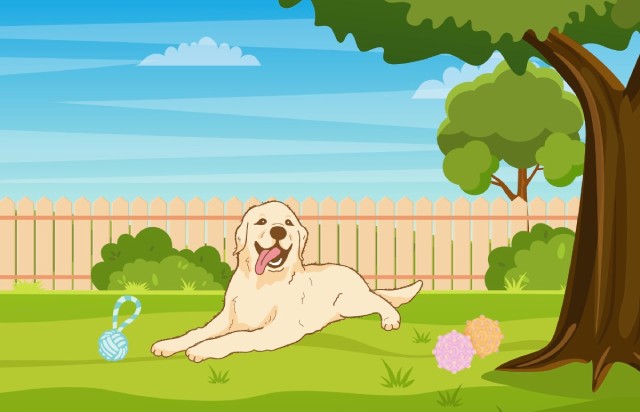 Illustration of a happy golden retriever dog lying in a backyard for the Cooper and Kids dog training program.